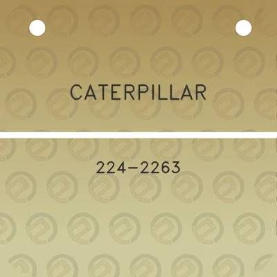 caterpillar-224-2263