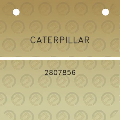 caterpillar-2807856