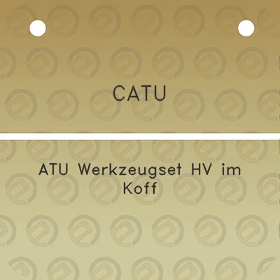 catu-atu-werkzeugset-hv-im-koff