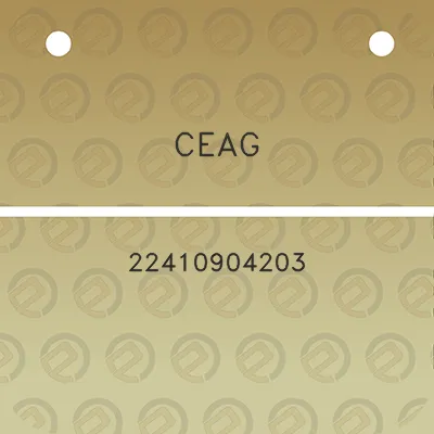 ceag-22410904203