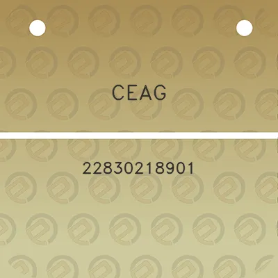 ceag-22830218901