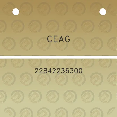 ceag-22842236300