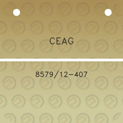 ceag-857912-407