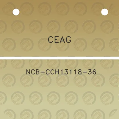 ceag-ncb-cch13118-36