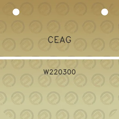 ceag-w220300