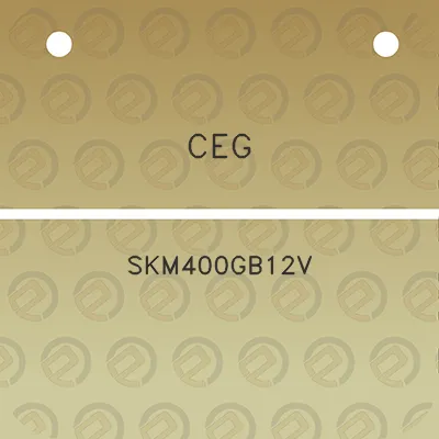 ceg-skm400gb12v