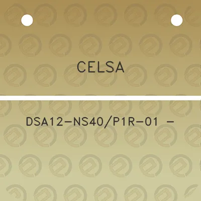 celsa-dsa12-ns40p1r-01