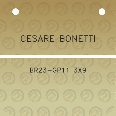 cesare-bonetti-br23-gp11-3x9