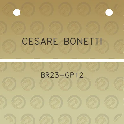 cesare-bonetti-br23-gp12