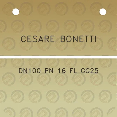 cesare-bonetti-dn100-pn-16-fl-gg25