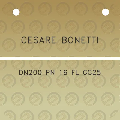 cesare-bonetti-dn200-pn-16-fl-gg25