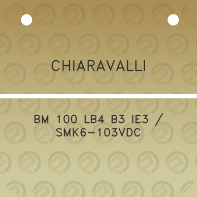 chiaravalli-bm-100-lb4-b3-ie3-smk6-103vdc