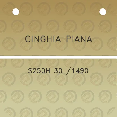 cinghia-piana-s250h-30-1490