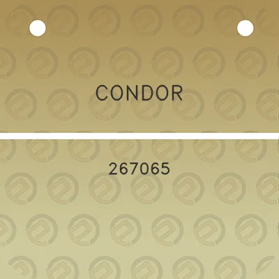 condor-267065