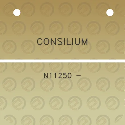 consilium-n11250