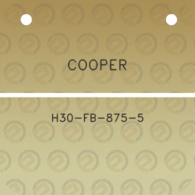 cooper-h30-fb-875-5