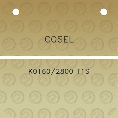 cosel-k01602800-t1s