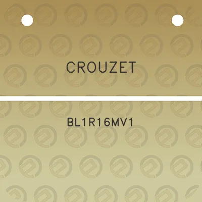 crouzet-bl1r16mv1