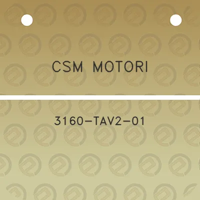 csm-motori-3160-tav2-01