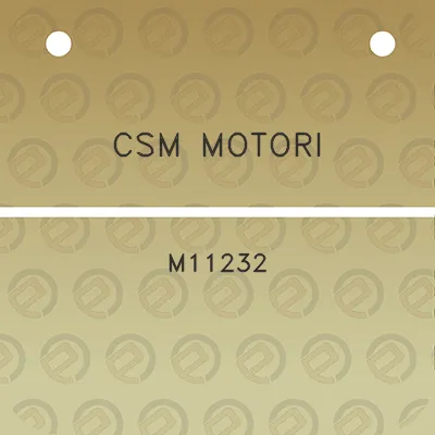 csm-motori-m11232