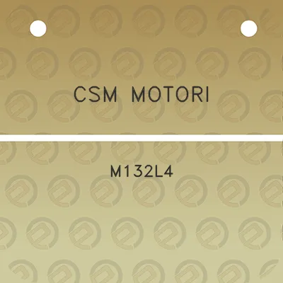 csm-motori-m132l4