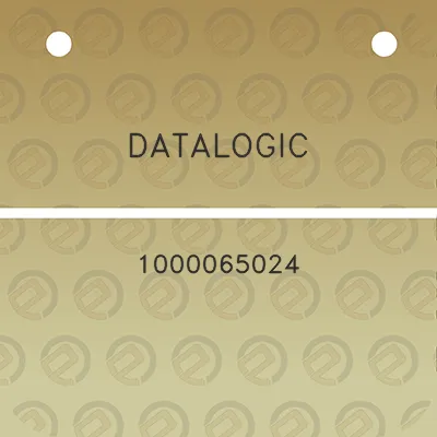 datalogic-1000065024