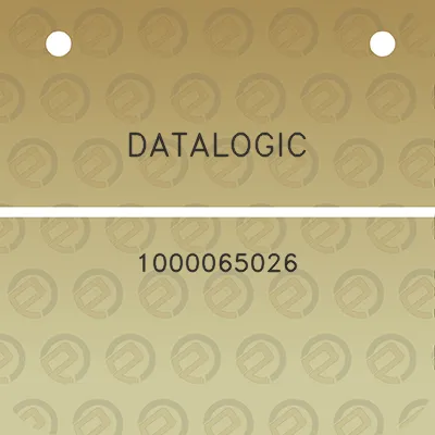 datalogic-1000065026