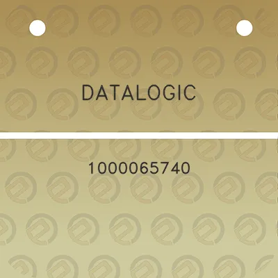 datalogic-1000065740