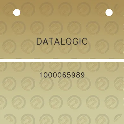 datalogic-1000065989