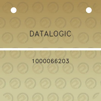 datalogic-1000066203