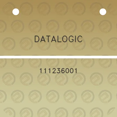 datalogic-111236001