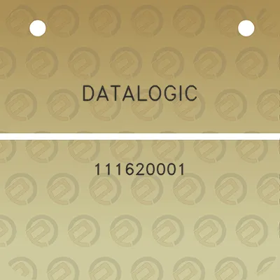 datalogic-111620001