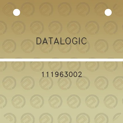 datalogic-111963002