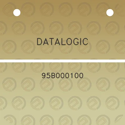 datalogic-95b000100