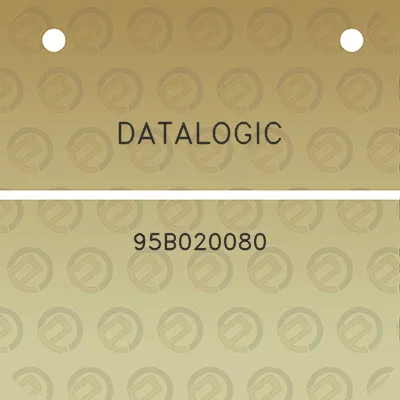 datalogic-95b020080