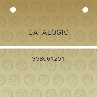 datalogic-95b061251