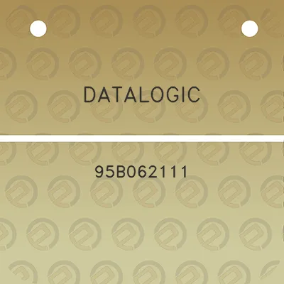 datalogic-95b062111