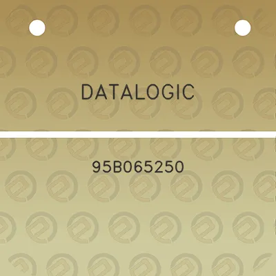 datalogic-95b065250