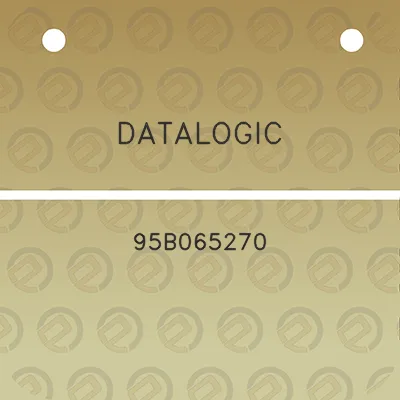 datalogic-95b065270