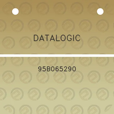 datalogic-95b065290