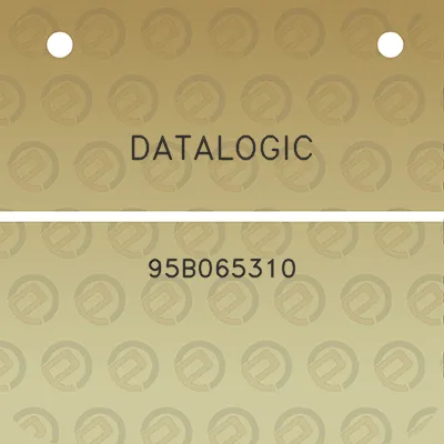 datalogic-95b065310