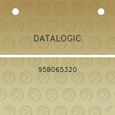 datalogic-95b065320