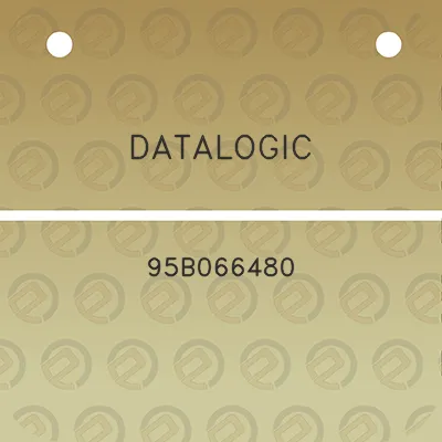 datalogic-95b066480