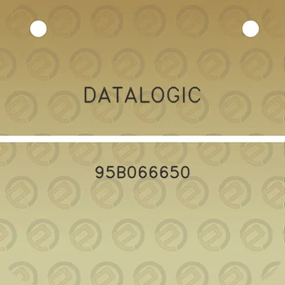 datalogic-95b066650