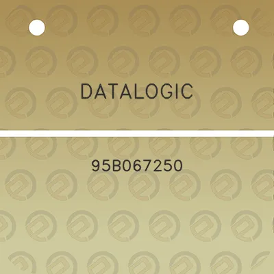 datalogic-95b067250