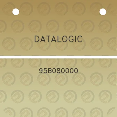 datalogic-95b080000