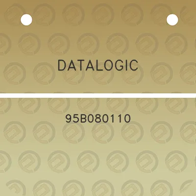 datalogic-95b080110