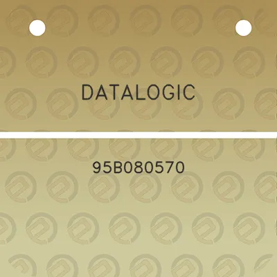 datalogic-95b080570