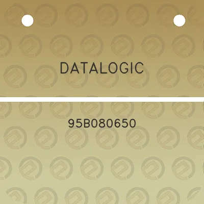 datalogic-95b080650