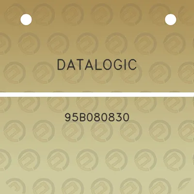 datalogic-95b080830